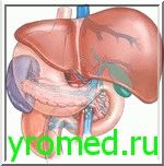 Гепатит - фото