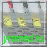 ��� - ����  