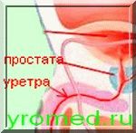 ������� - ����  
