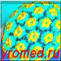  ��� - ���� 